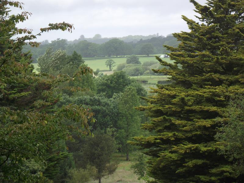 Sir Harold Hillier Garden.
