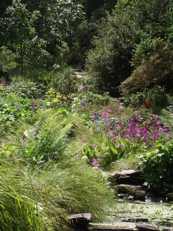 Sir Harold Hillier Garden.