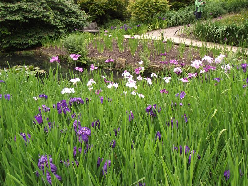 Wakehurst Place.